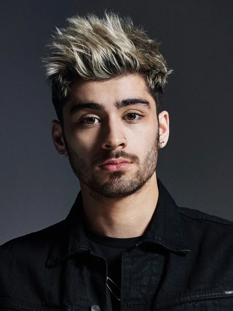 Zayn Malik Biography 2026: Net Worth, Wife, Daughter, Songs &amp; Life Story
