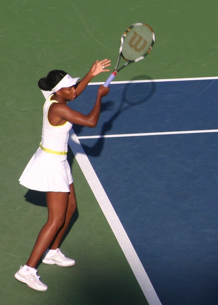 Venus Williams: American Tennis Champion & Designer photo