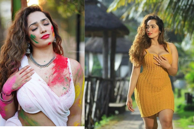 aditi mistry net worth